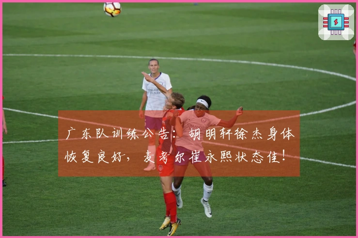 广东队训练公告：胡明轩徐杰身体恢复良好，麦考尔崔永熙状态佳！